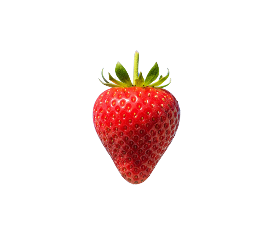 hand picked strawberries