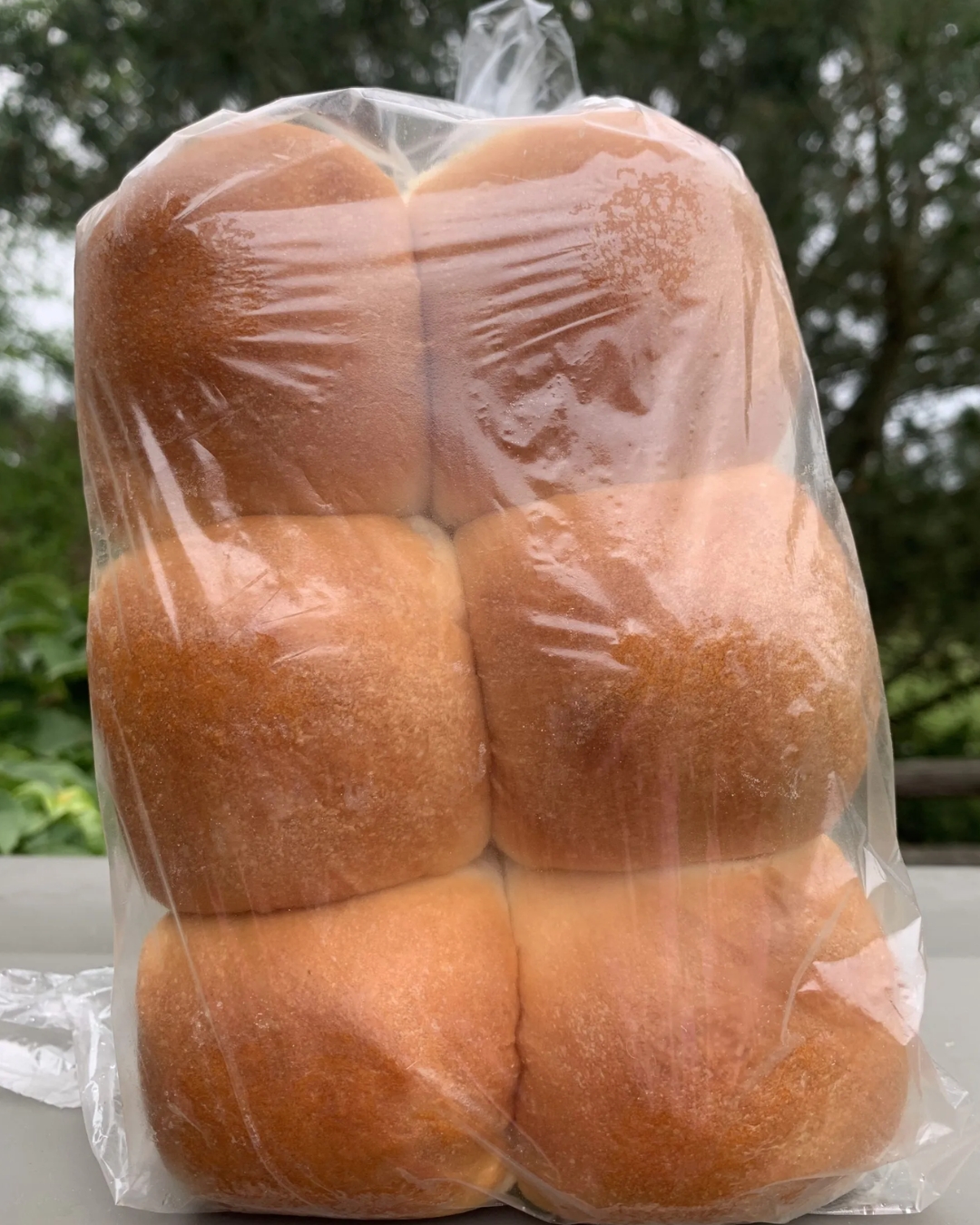 Fresh Dinner Rolls